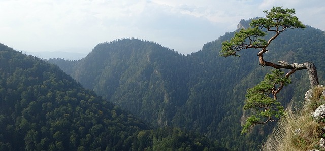 pieniny-957793_640
